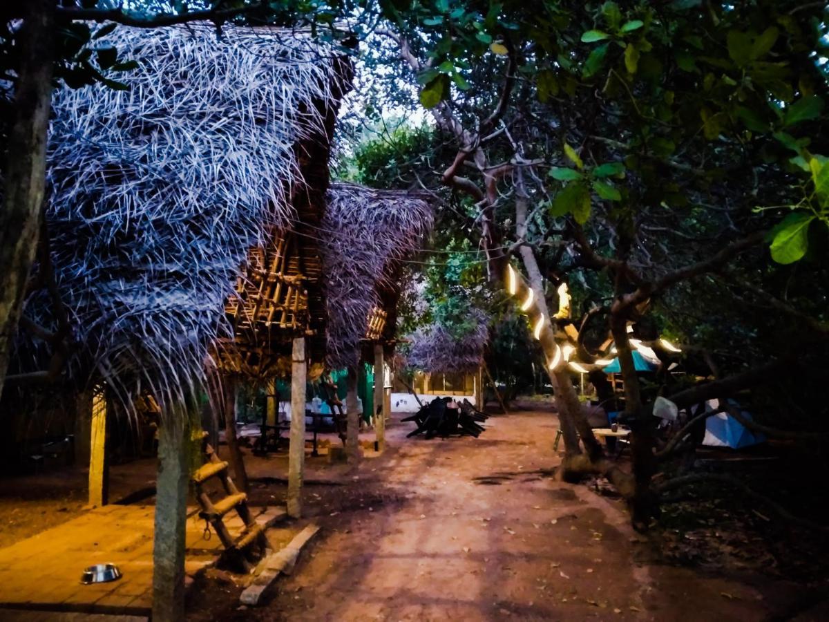 Peace Garden Auroville Exterior photo