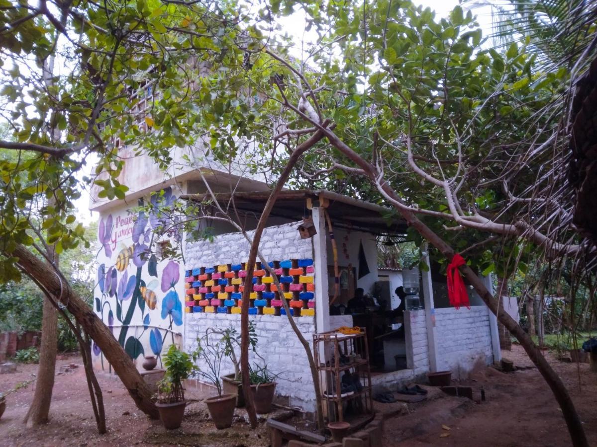 Peace Garden Auroville Exterior photo
