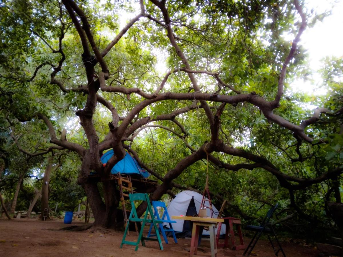 Peace Garden Auroville Exterior photo