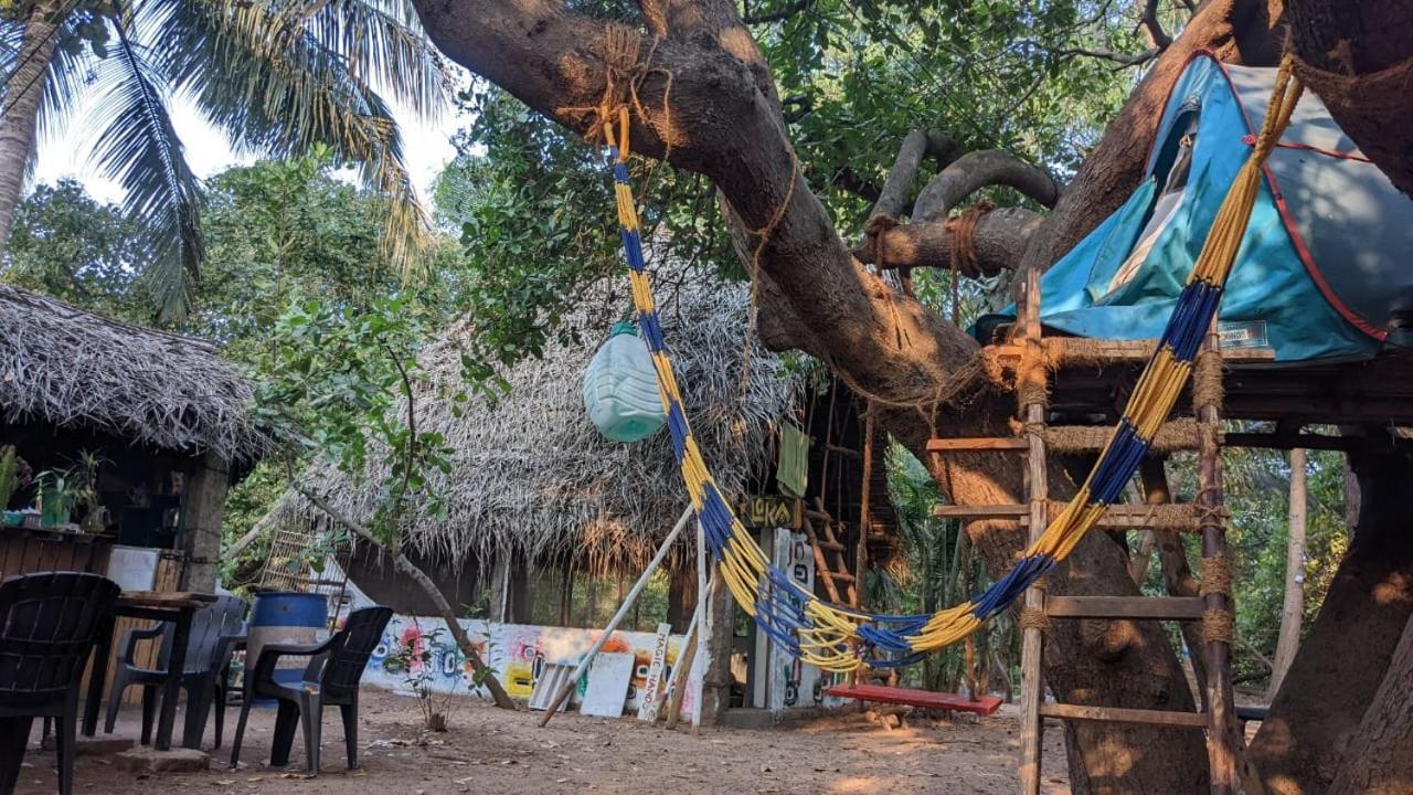 Peace Garden Auroville Exterior photo