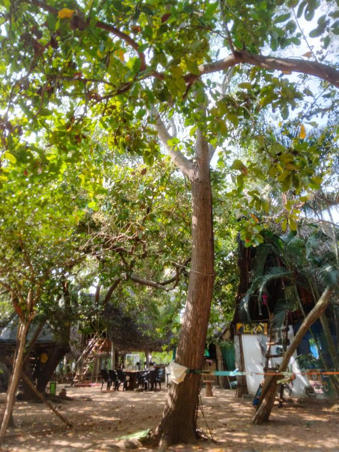 Peace Garden Auroville Exterior photo